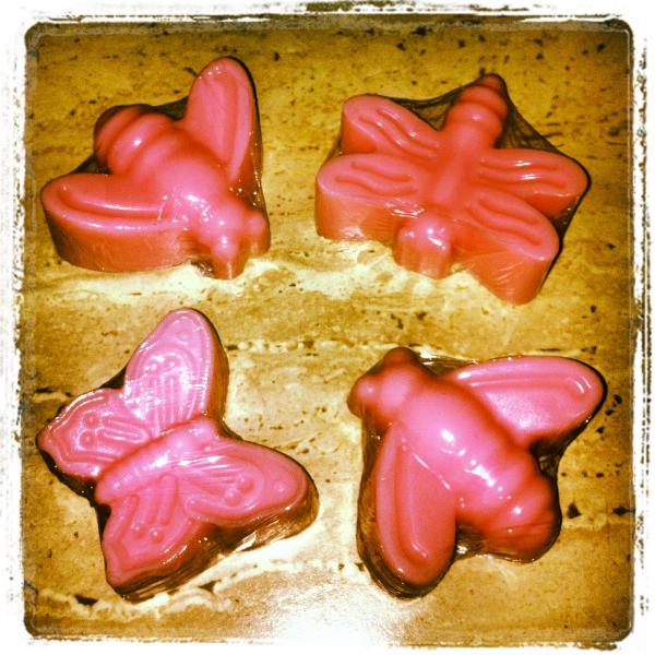 Σαπουνάκια έντομα